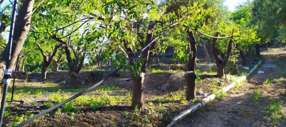 Terreno em Mascali, Italy 40000 m² N.º 255240 12