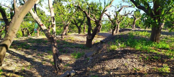 Terreno em Mascali, Italy 40000 m² N.º 255240 14