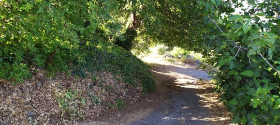 Terreno em Mascali, Italy 40000 m² N.º 255240 9