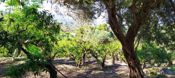 Terreno em Mascali, Italy 40000 m² N.º 255240 17