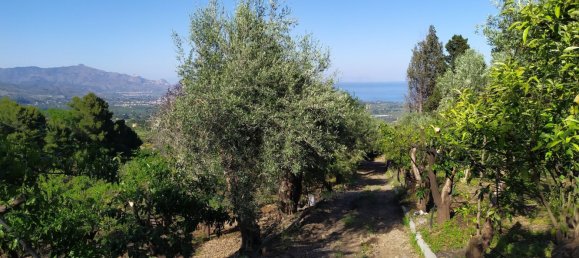 Terreno em Mascali, Italy 40000 m² N.º 255240 16