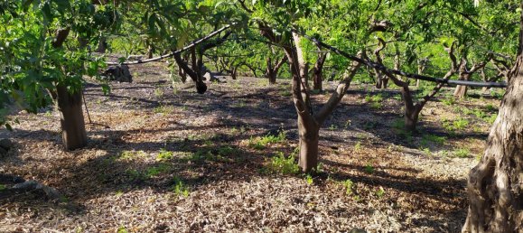 Terreno em Mascali, Italy 40000 m² N.º 255240 13