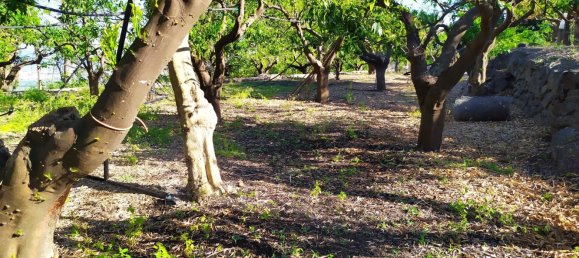 Terreno em Mascali, Italy 40000 m² N.º 255240 8