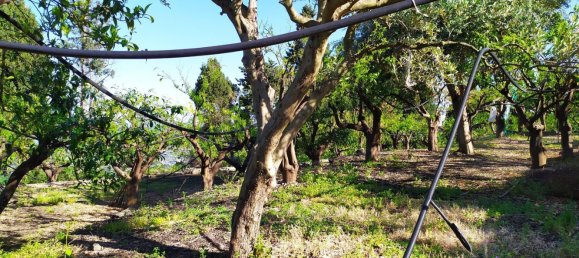 Terreno em Mascali, Italy 40000 m² N.º 255240 10