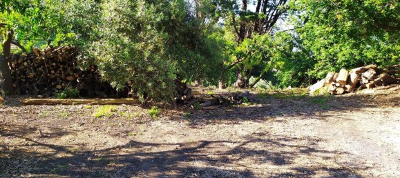 Terreno em Mascali, Italy 40000 m² N.º 255240 7