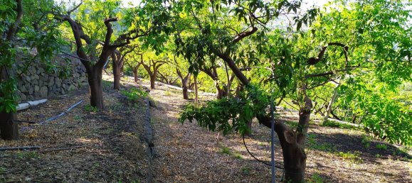 Terreno em Mascali, Italy 40000 m² N.º 255240 20