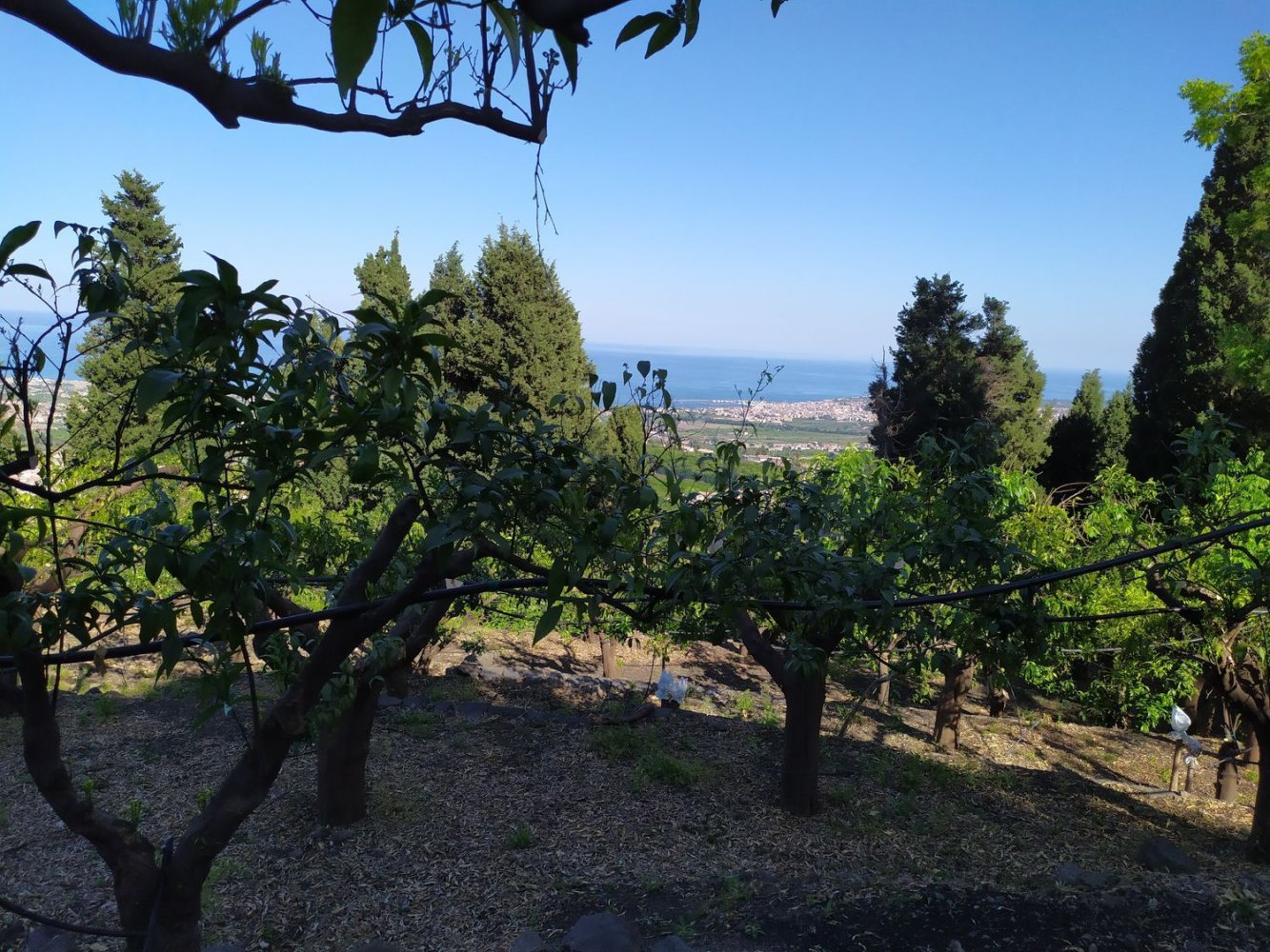 Terreno em Mascali, Italy 40000 m² N.º 255240