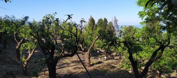 Terreno em Mascali, Italy 40000 m² N.º 255240 21