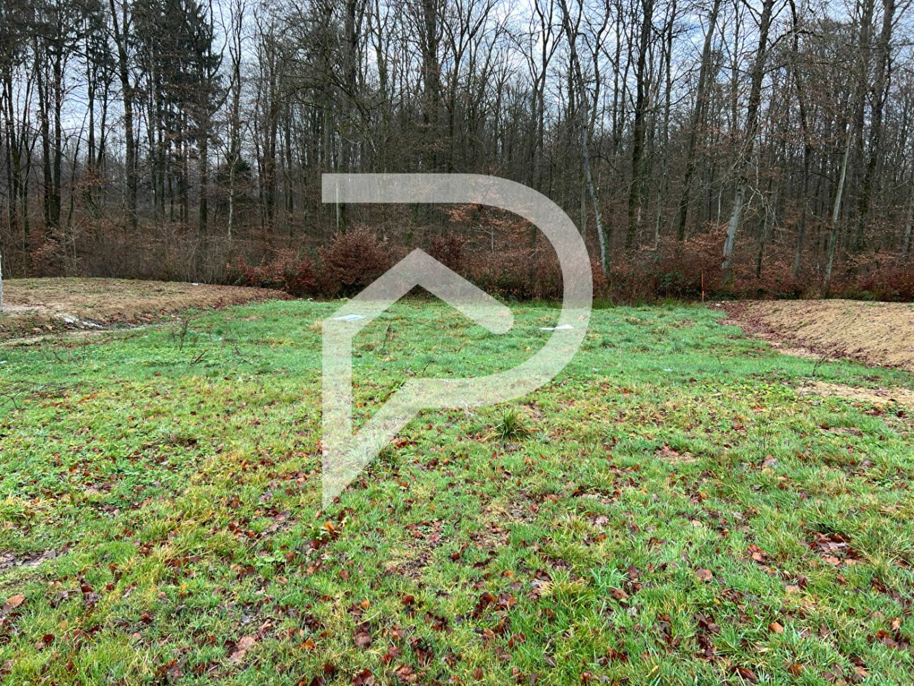  Land in Seppois-le-Bas, France No. 77657