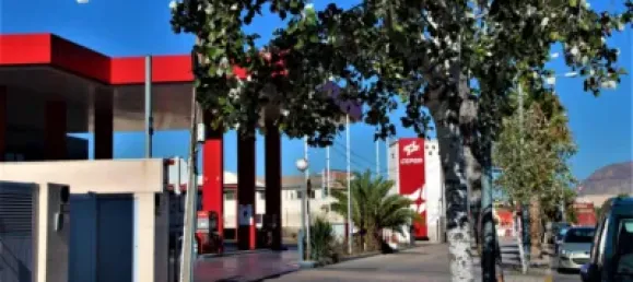 33 Schlafzimmer Gebäude in Alicante, Spain, Nr. 66221 20