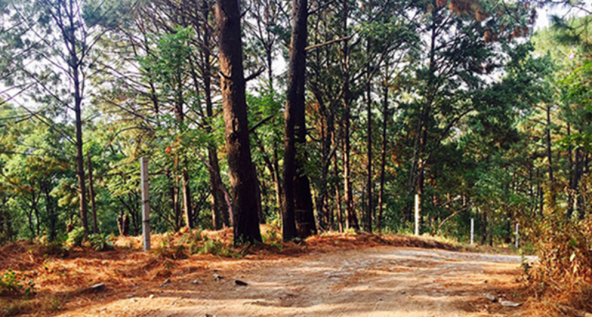 Terrain à Heroica Matamoros, Mexico No. 204092