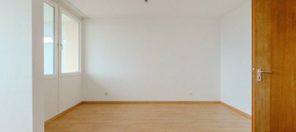Studio in Freising, Germany No. 234844 3