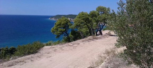 Отель, гостиница 11875м² в Халкидики, Греция № 7886 2