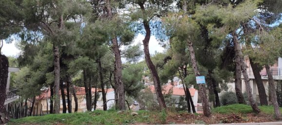 410m² Hotel in Nea Penteli, Greece No. 3361 2