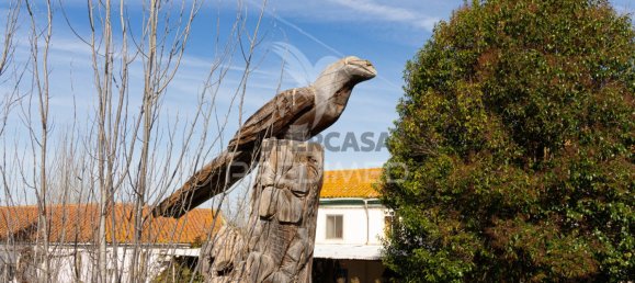 Casa T9 em Estremoz, Portugal N.º 161371 25