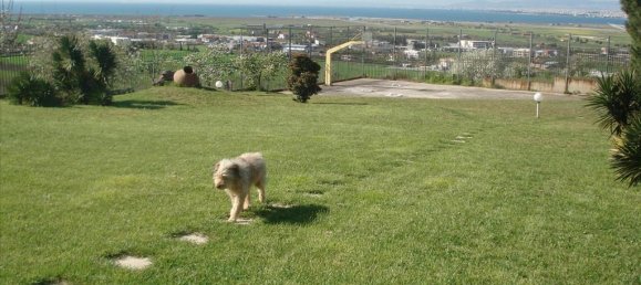 4 Schlafzimmer Wohnung in Thessaloniki, Greece, Nr. 4790 6