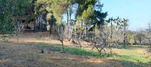 6 bedrooms Villa in Cala Vinyes, Spain No. 11434 3