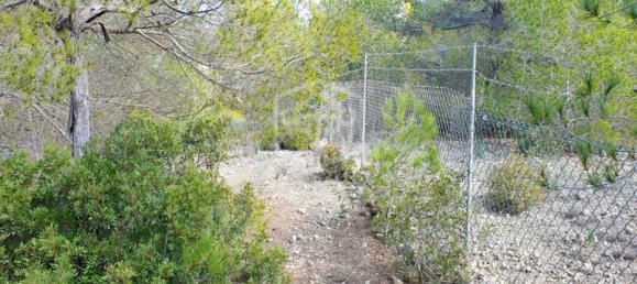 6 bedrooms Villa in Cala Vinyes, Spain No. 11434 14