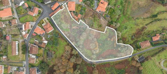 1 bedroom House in Povoa de Lanhoso, Portugal No. 159911 3