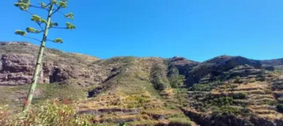 Дом с 2 спальнями в Гальдар, Испания № 172517 25