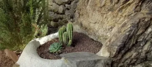 Дом с 2 спальнями в Гальдар, Испания № 172517 23