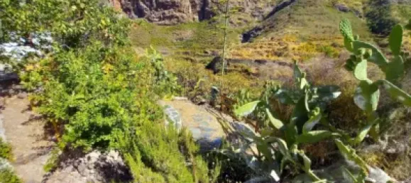 Дом с 2 спальнями в Гальдар, Испания № 172517 26