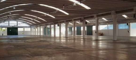 Lagerhaus in Campi Bisenzio, Italy 290m², Nr. 9829 9