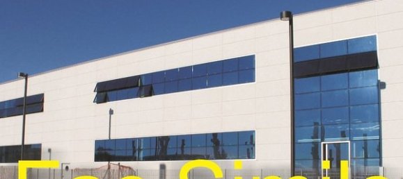 Lagerhaus in Campi Bisenzio, Italy 290m², Nr. 9829 14