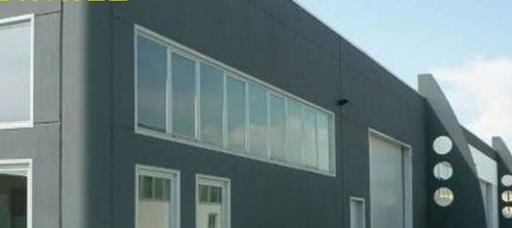 Lagerhaus in Campi Bisenzio, Italy 290m², Nr. 9829 11