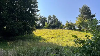  Land in Behamberg, Austria No. 247683