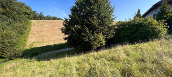 Land in Behamberg, Austria No. 247683 3