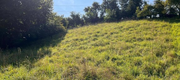 Land in Behamberg, Austria No. 247683 2