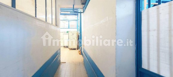 2 rooms Warehouse in Naples, Italy No. 12505 11