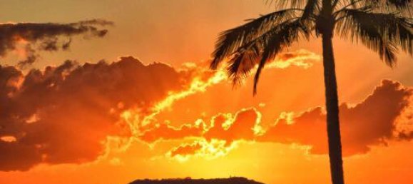 Apartamento T2 em Paget, Australia N.º 329 6