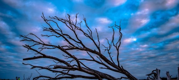 Apartamento T2 em Paget, Australia N.º 329 7