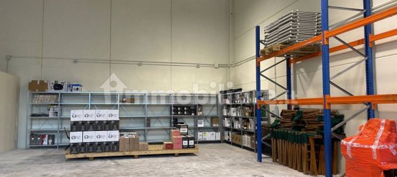 240m² Warehouse in Livorno, Italy No. 351266 4