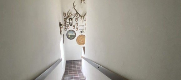 5 rooms House in Ulrichskirchen-Schleinbach, Austria No. 201337 3