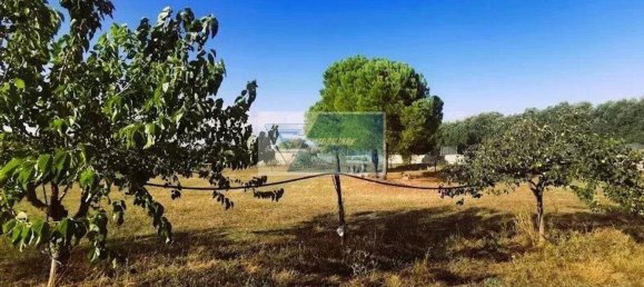  قطعة أرض في Noto, Italy رقم 343992 6