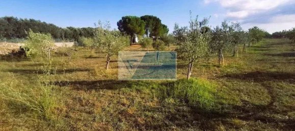  قطعة أرض في Noto, Italy رقم 343992 15