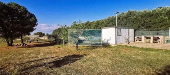  قطعة أرض في Noto, Italy رقم 343992 3