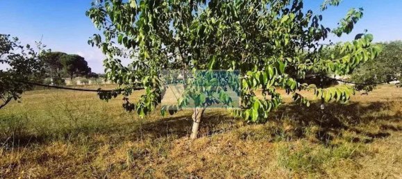  قطعة أرض في Noto, Italy رقم 343992 5