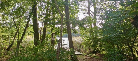 3 غرف نوم بنغالو في Ostprignitz-Ruppin, Germany رقم 229645 22