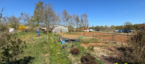 9 bedrooms Townhouse in Flirey, France No. 83321 25