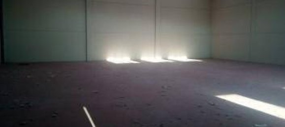 Склад 213м² в Лос Корралес де Буэльна, Испания № 91263 4