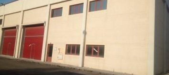 Склад 213м² в Лос Корралес де Буэльна, Испания № 91263 3