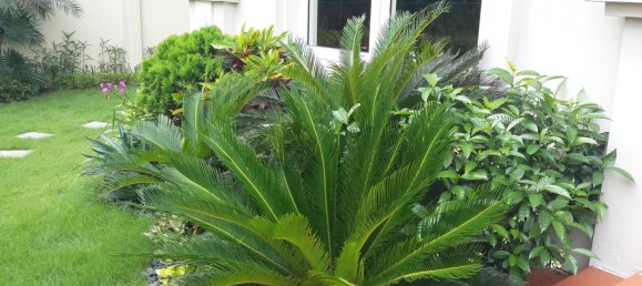 4 bedrooms Villa in Long Bien, Vietnam No. 5600 17