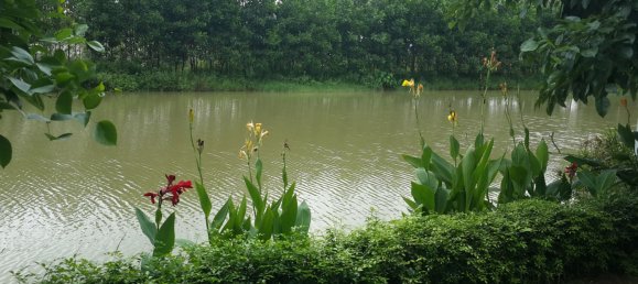 4 bedrooms Villa in Long Bien, Vietnam No. 5600 18