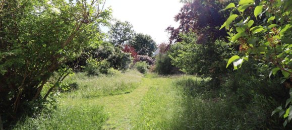 6 rooms Villa in Modling, Austria No. 196303 4