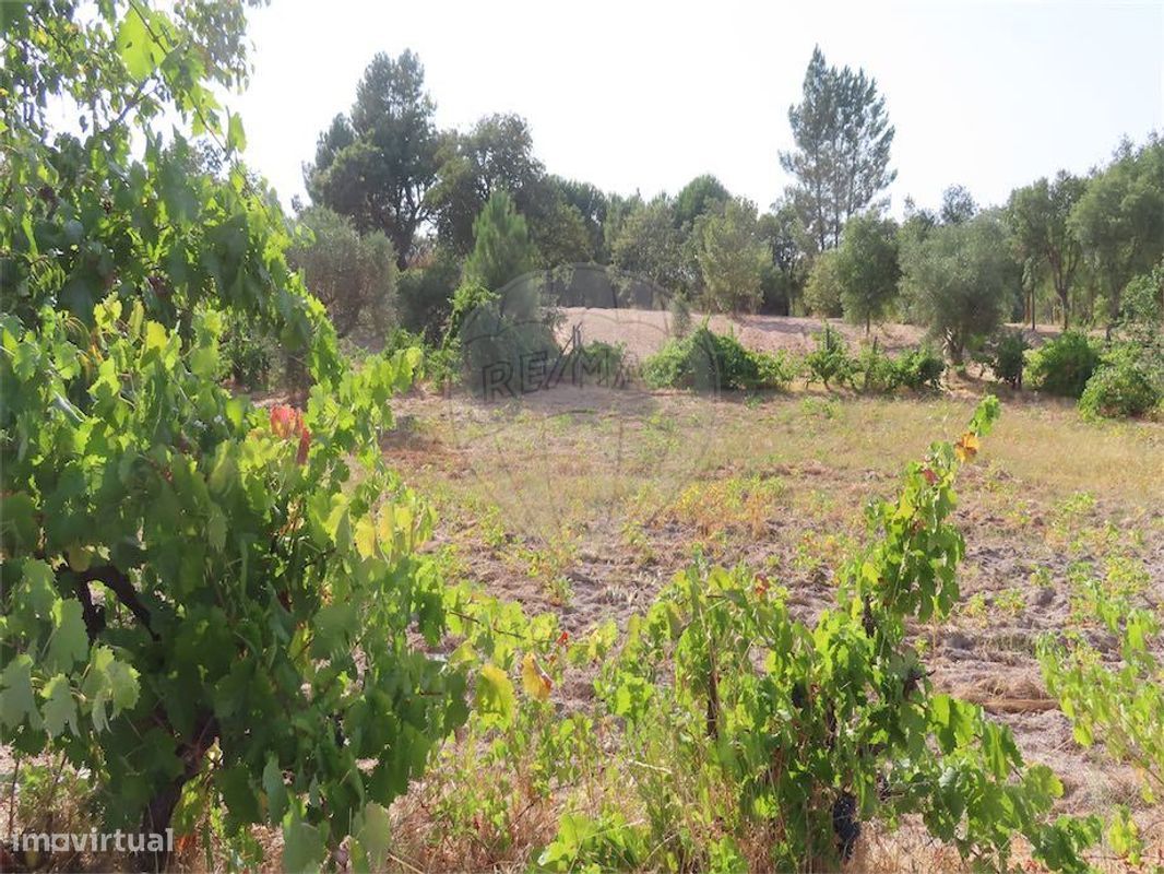 9 bedrooms House in Penamacor, Portugal No. 309557