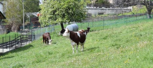 Apartamento de 3 divisões em Challand Saint Anselme, Italy N.º 29612 12